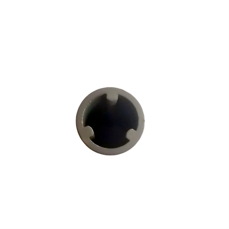 Pump Magnet Rotor